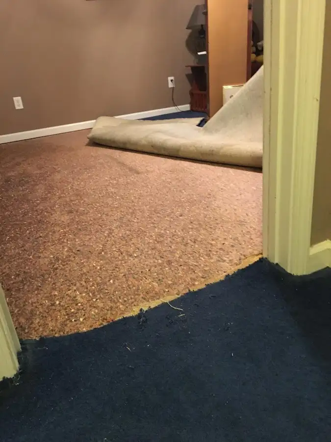 Carpet pad removal revealing water damage during Drying & Dehumidification in Asheville