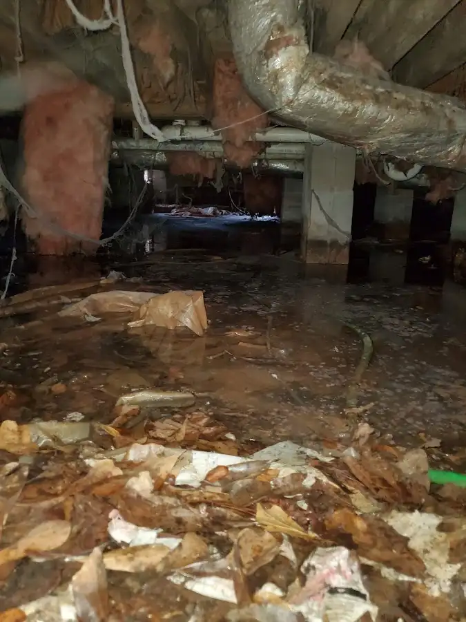 Crawl space flood assessment for Leak Detection & Repair in Asheville
