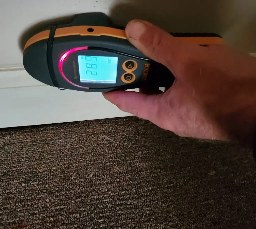 Moisture detection at baseboard during Mold Inspection & Testing in Asheville